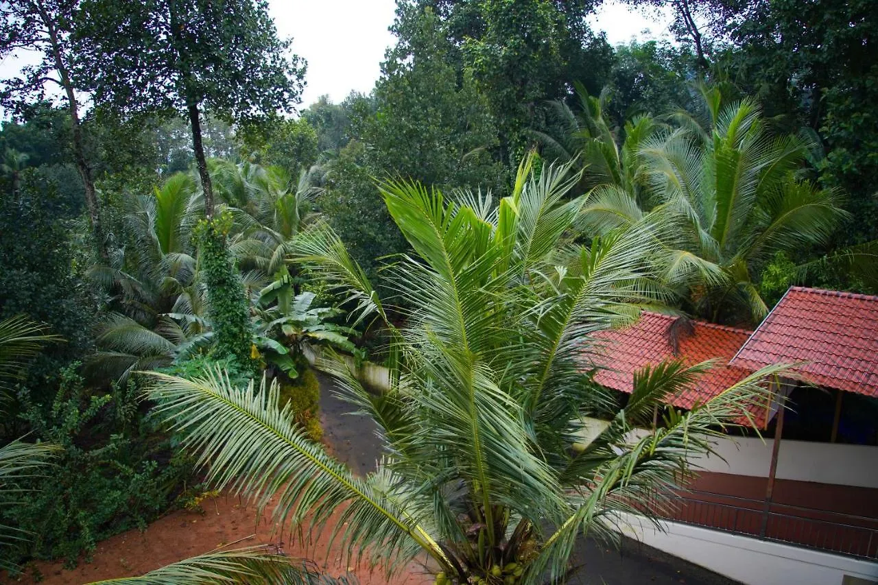 Blue Warm Foundations Private Limited Bed & Breakfast Pala